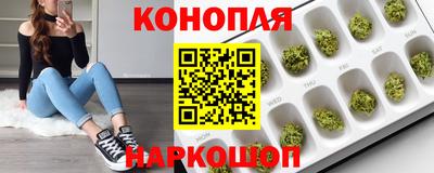 спиды Жуковский