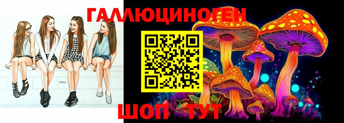 Псилоцибиновые грибы Psilocybe  Псилоцибиновые грибы Cubensis  Буйнакск  где купить наркоту  Вход с VPN 