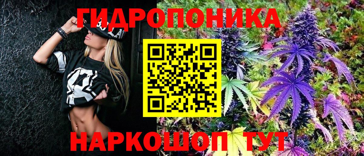Конопля Bruce Banner Буйнакск